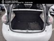 RENAULT ZOE - annonce-VO624228